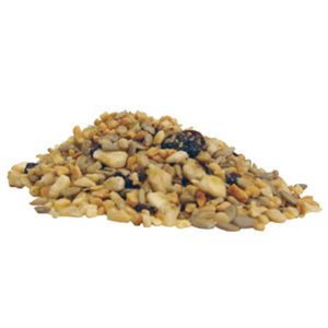 Fruit & Nut Foraging mix