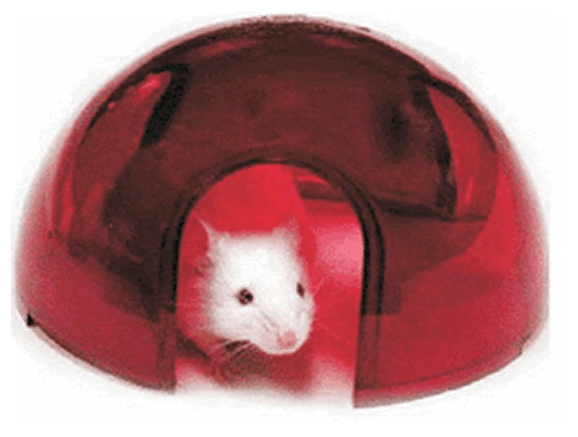 https://www.plexx.eu/wp-content/uploads/2020/04/MouseIgloo.png